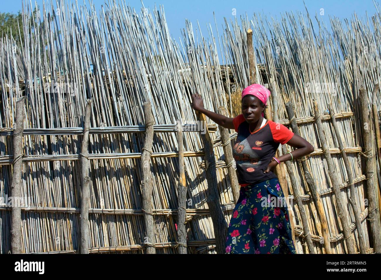 Femme africaine à la clôture dans le village, Botswana Banque D'Images