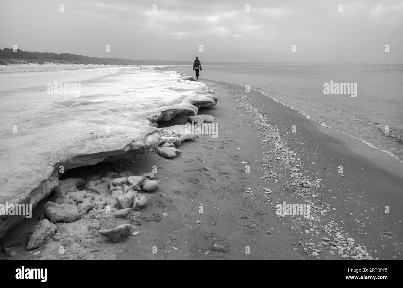 Mer Baltique, promeneurs de plage en hiver Banque D'Images