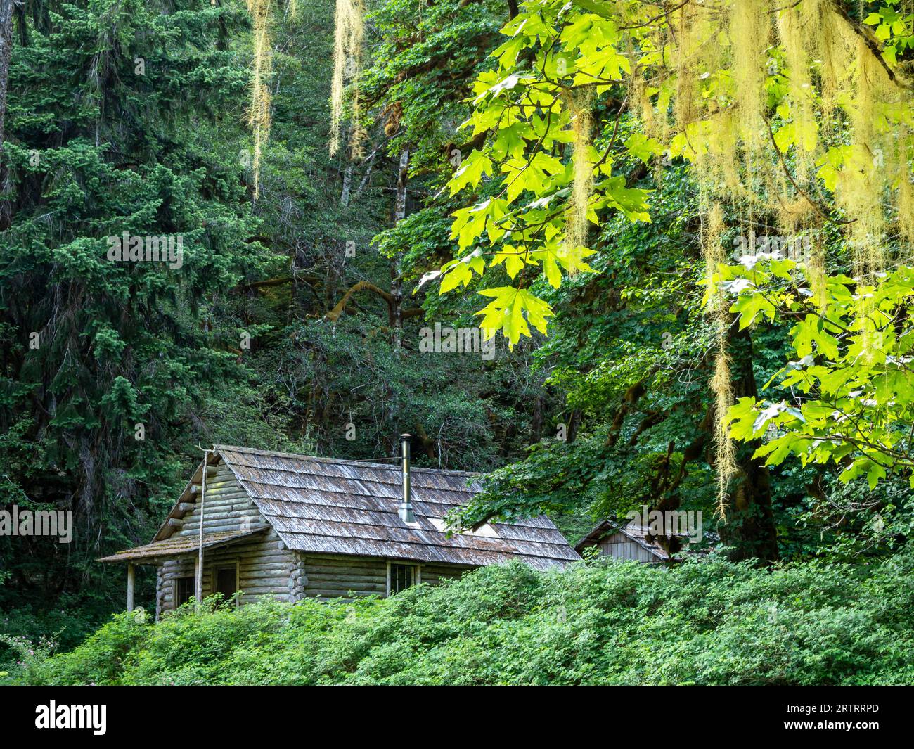 WA23648-00...WASHINGTON - Elkhorn Ranger Station dans la vallée de la rivière Elwha. Banque D'Images