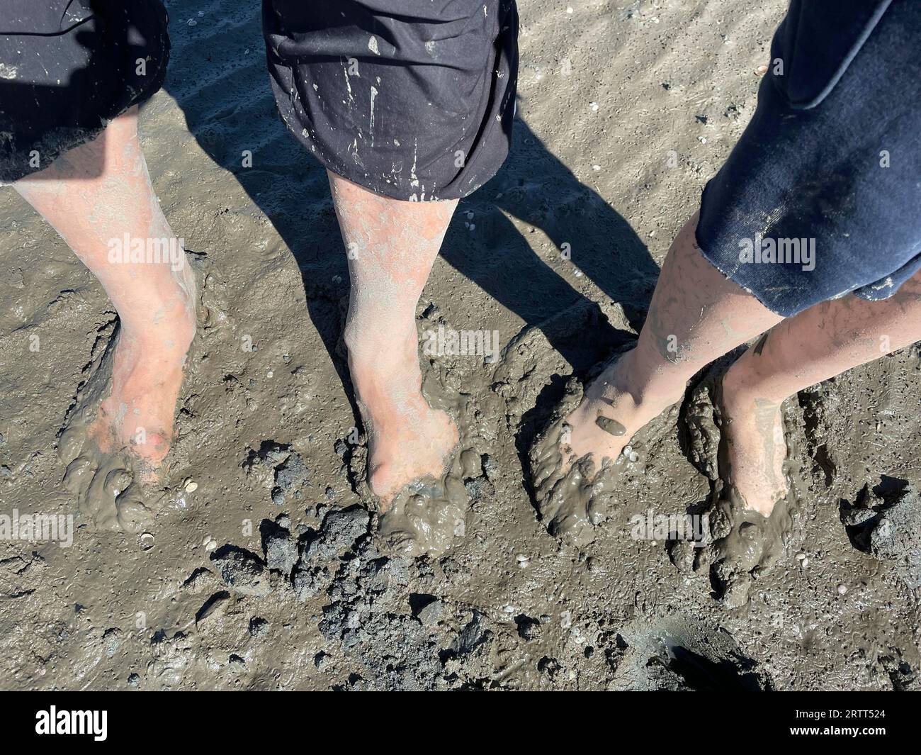 Promenade boueuse, père et fils, pieds sales, mer des Wadden, marée basse, parc national, site du patrimoine mondial de l'UNESCO, Suederdeich, Vollerwiek, Toenning, Nord Banque D'Images