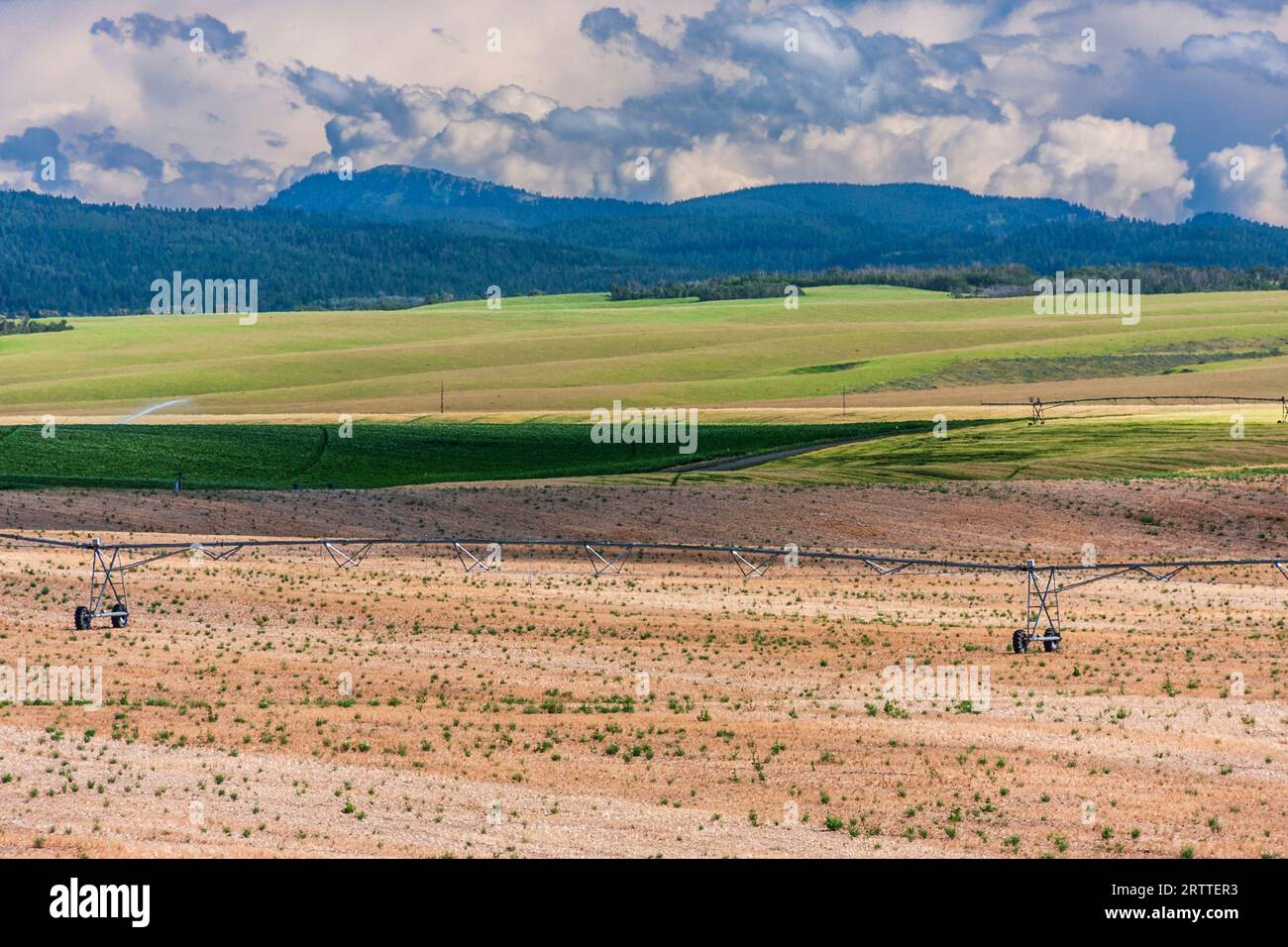 Pomme de terre à l'Est de l'Idaho. L'irrigation extensive est nécessaire pour l'agriculture dans l'Idaho, de sorte que les rivières de déterminer où l'agriculture est possible. Dans l'Est Banque D'Images