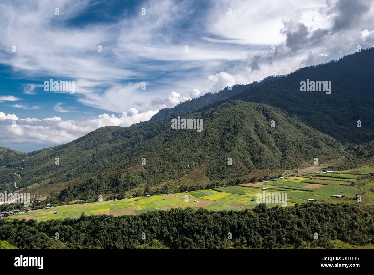 Forêt bhoutanaise luxuriante bordant un champ agricole tranquille, une coexistence harmonieuse de la nature et de l'agriculture. Banque D'Images