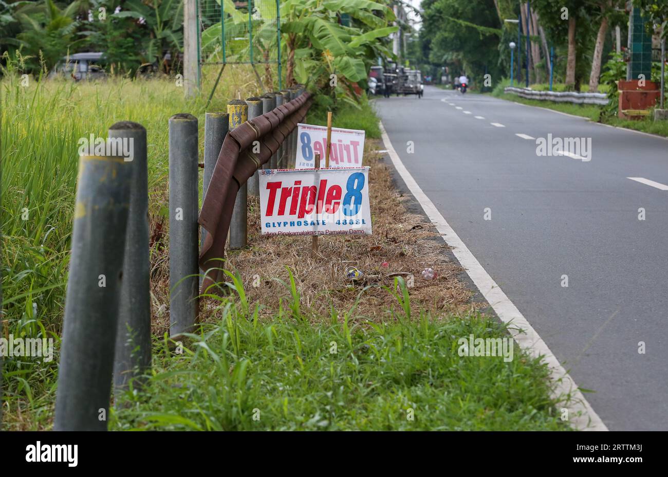 Panneau publicitaire pour l'herbicide glyphosate Triple 8 480SL (Tag Chem) utilisé dans les rizières voisines, démarcation claire de l'efficacité des désherbants, Philippines Banque D'Images