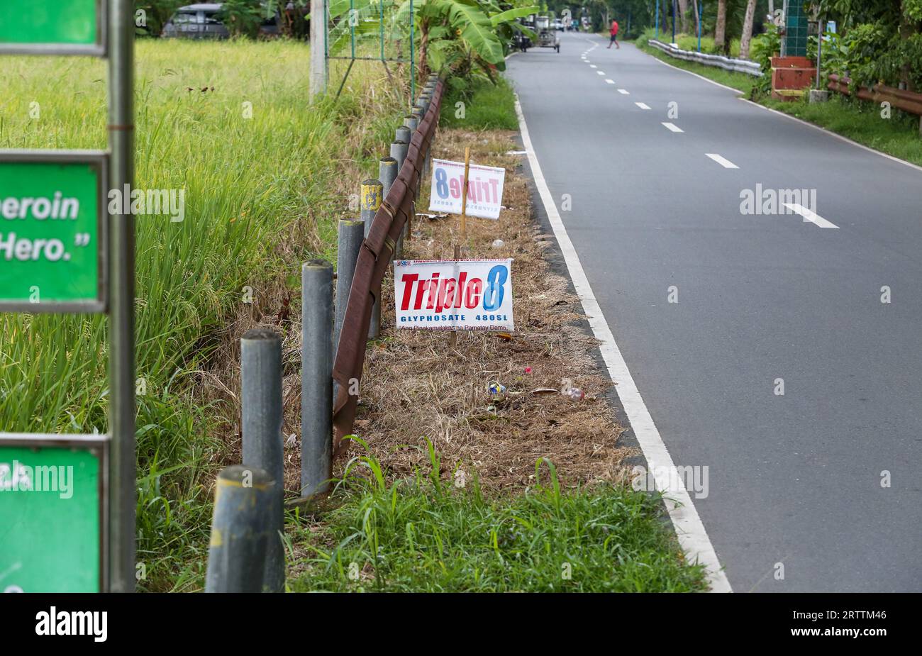 Panneau publicitaire pour l'herbicide glyphosate Triple 8 480SL (Tag Chem) utilisé dans les rizières voisines, démarcation claire de l'efficacité des désherbants, Philippines Banque D'Images