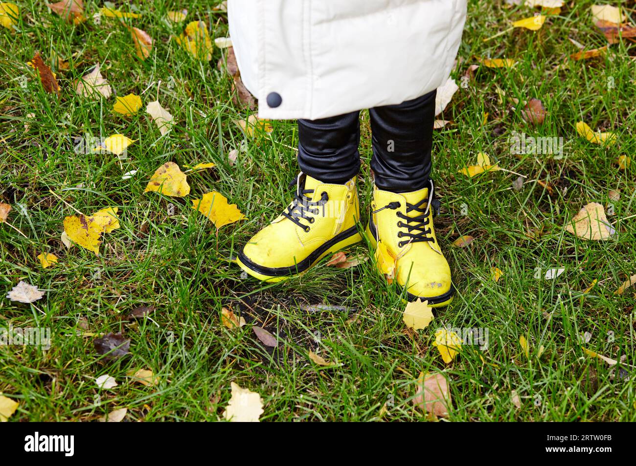 Une petite fille marche dans le parc de la ville d'automne. Petit enfant s'amusant à l'extérieur. Saison d'automne. Enfance Banque D'Images