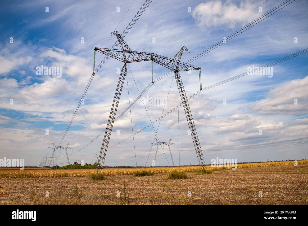 Tour de transmission d'énergie en Ukraine en été. Câbles aériens des supports de lignes de transmission d'énergie haute tension à travers un champ avec du maïs en été Banque D'Images