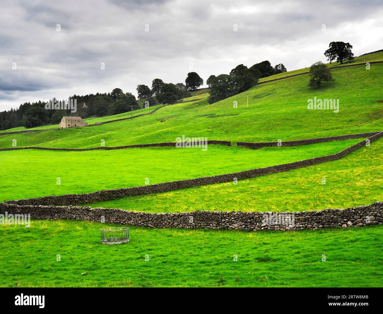 Prairies d'été le long de la Nidderdale Way entre WATH et Heathfield Nidderdale AONB North Yorkshire Angleterre Banque D'Images