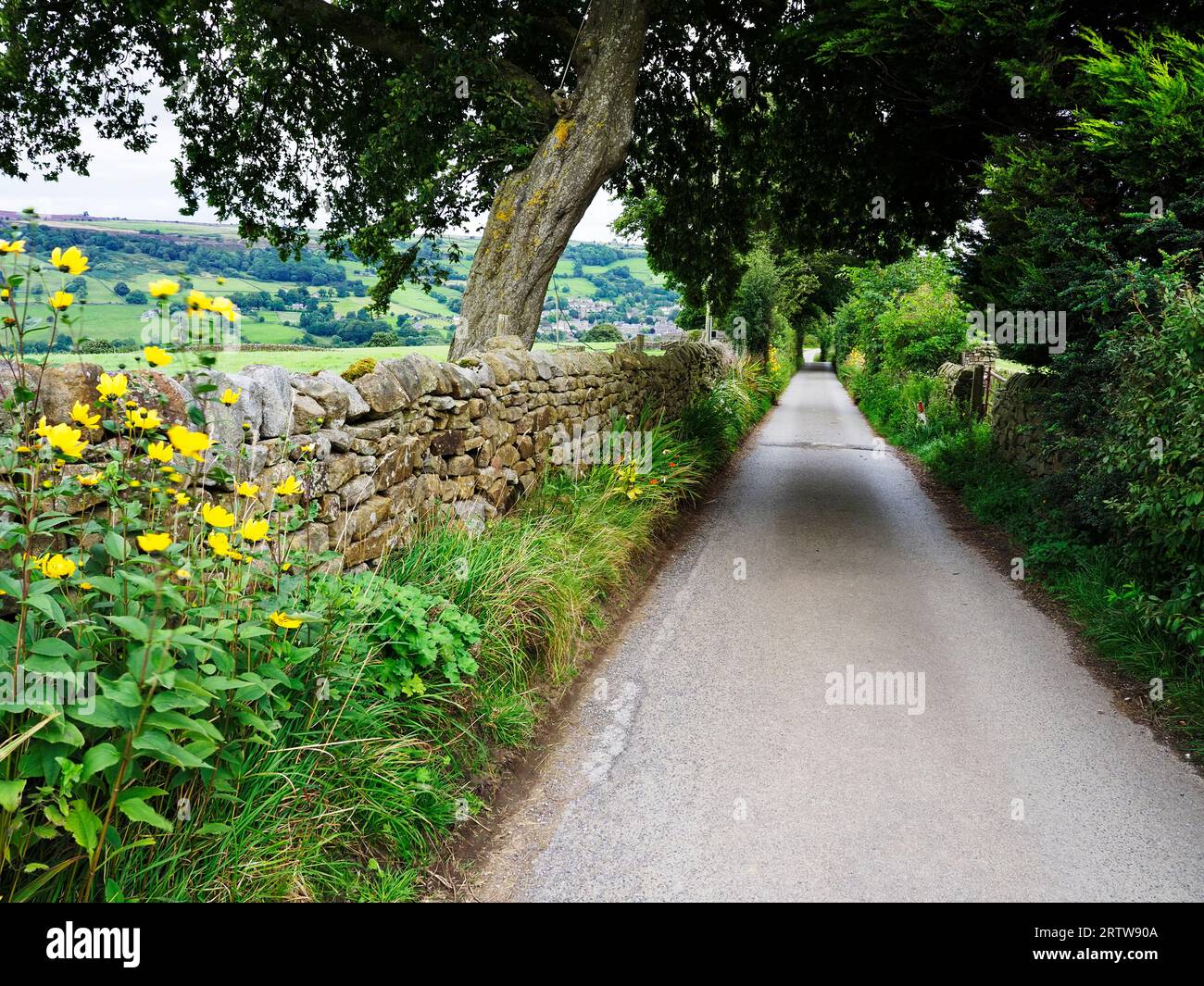 La Nidderdale Way se dirige le long de la voie vers Bewerley près de Ladies Riggs Nidderdale AONB North Yorkshire England Banque D'Images