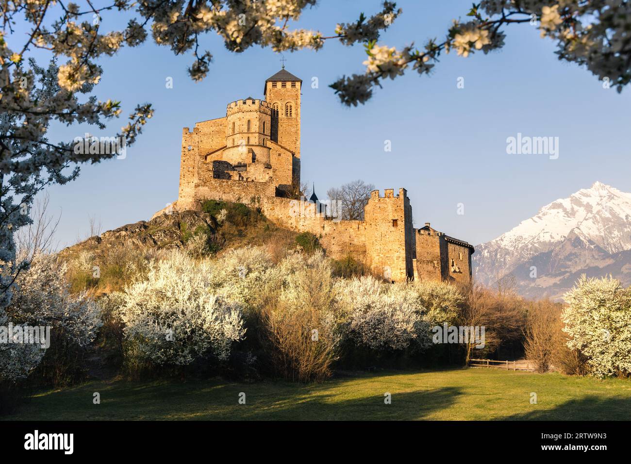 Paysage doré heure printanière vue sur la basilique Valère, avec un encadrement naturel d'arbres fleuris à Sion tôt le matin, Wallis Suisse Banque D'Images