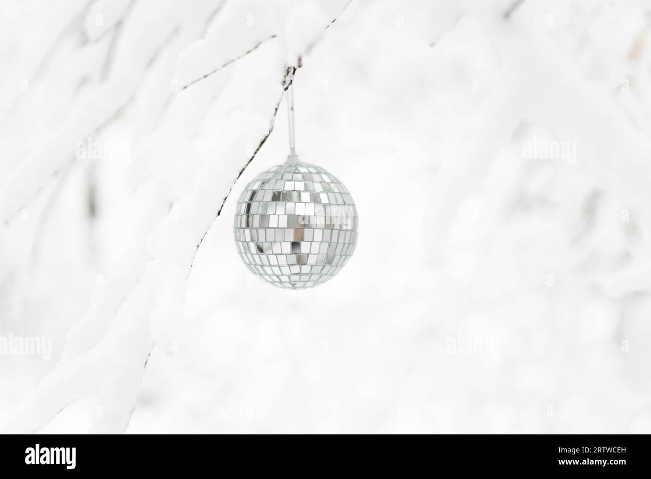 Une boule disco accrochée à une branche d'arbre enneigée Banque D'Images