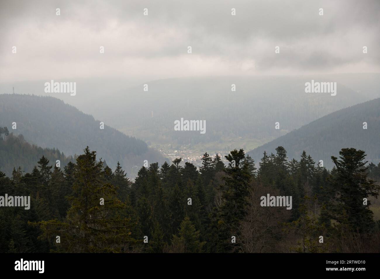 Le Baumwipfelpfad Schwarzwald, à Bad Wildbad, Bade-Württemberg Banque D'Images