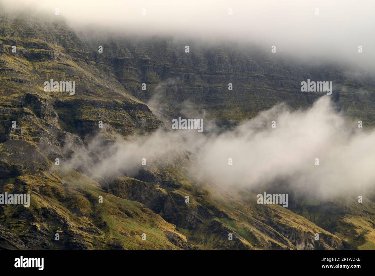 Brume au-dessus des falaises rocheuses vertes Banque D'Images