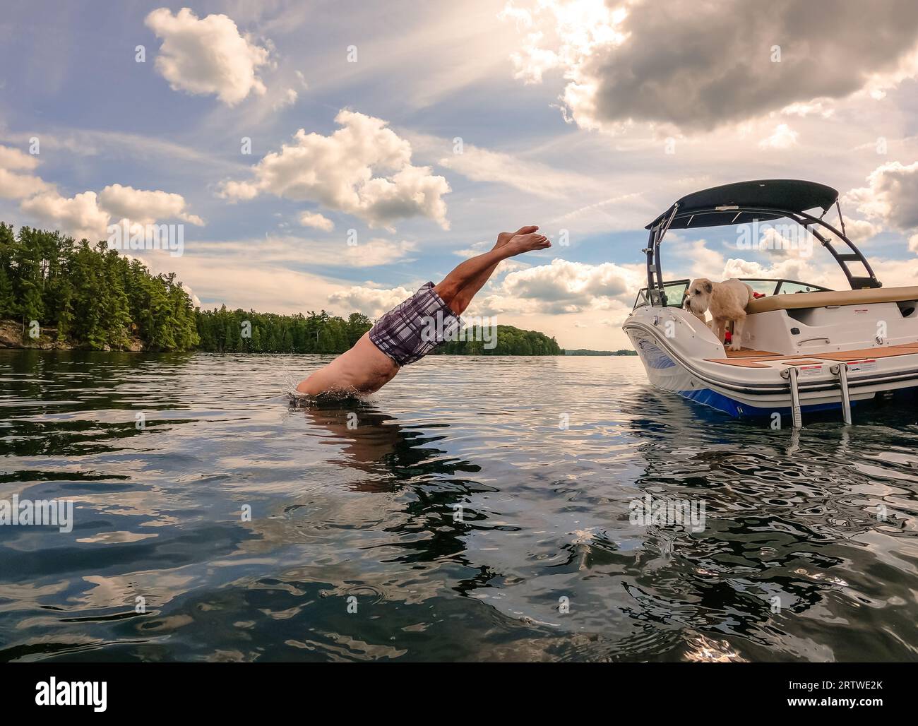 Homme plongeant hors du bateau dans un lac le jour de l'été comme des montres de chien. Banque D'Images