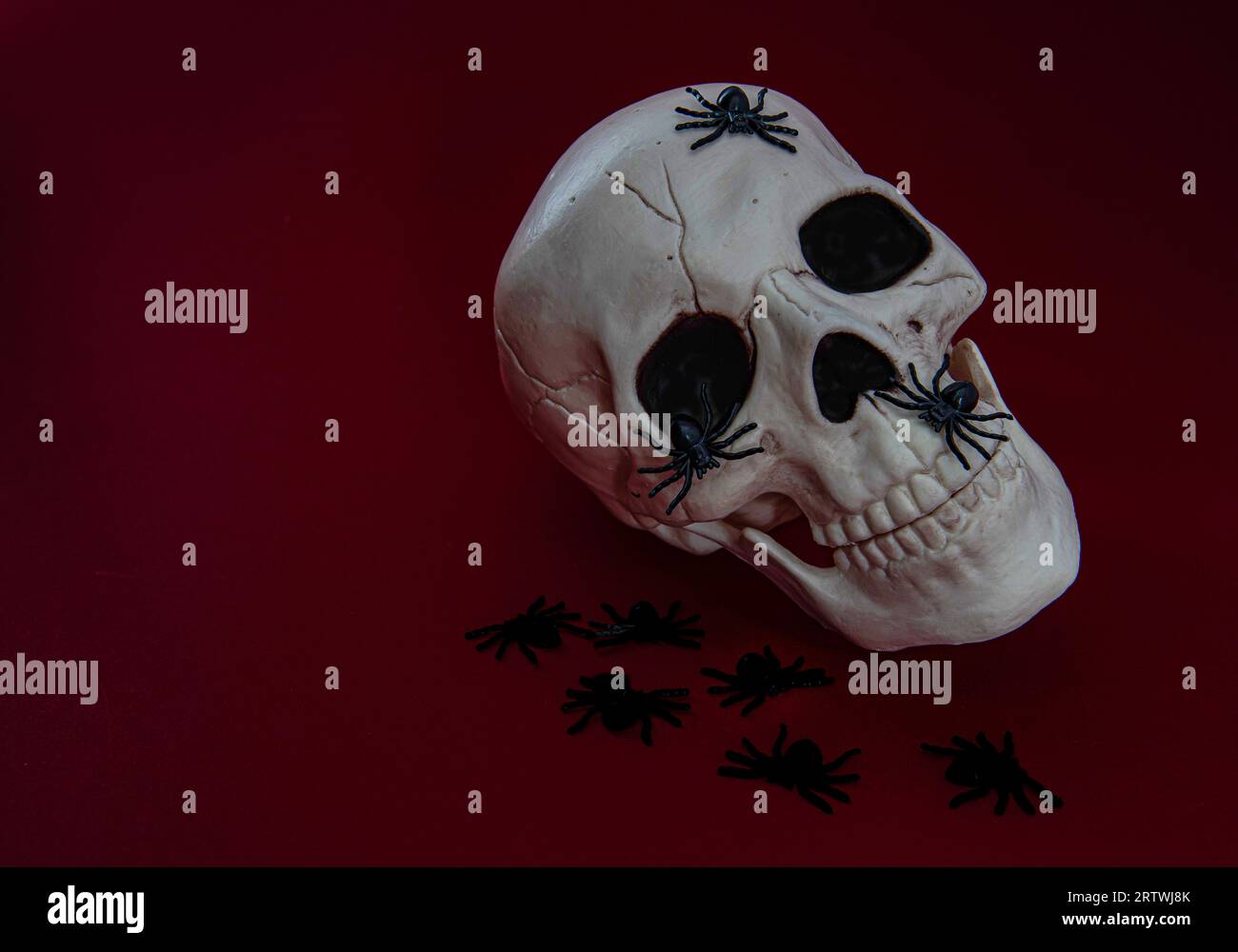 Scull sur un fond rouge avec de petites araignées. Banque D'Images