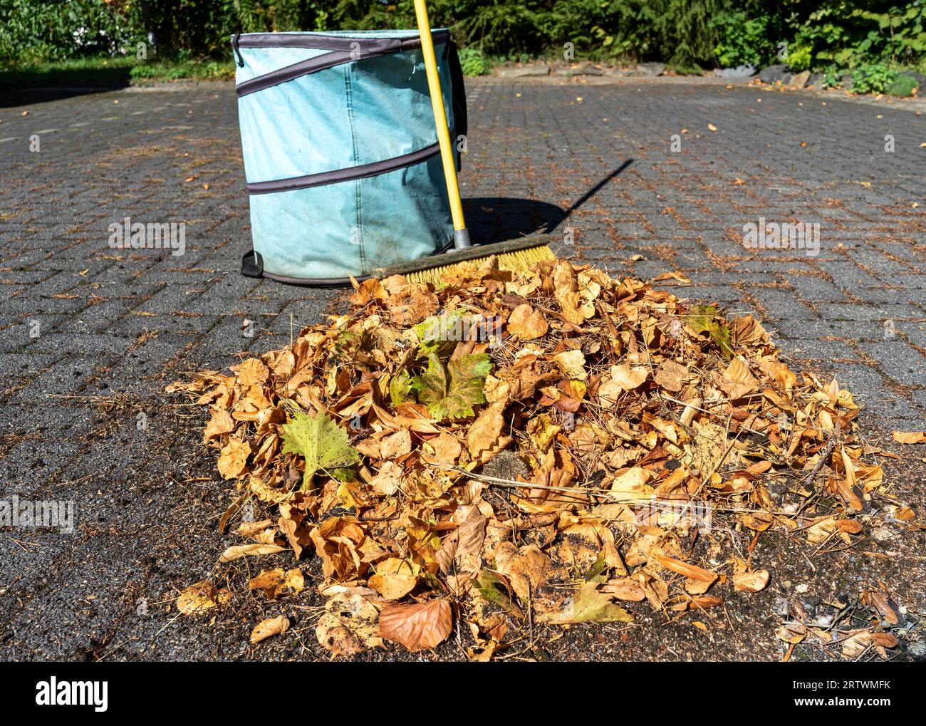 feuilles d'automne dans le panier en route Banque D'Images