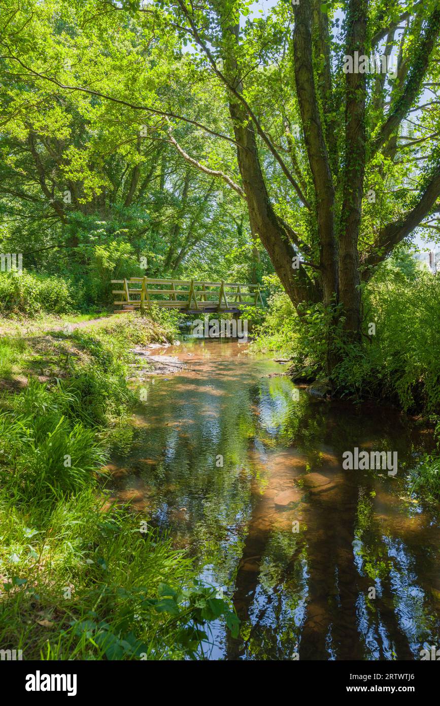 Lower Allerford passerelle au-dessus de la rivière aller dans le parc national d'Exmoor, Somerset, Angleterre. Banque D'Images