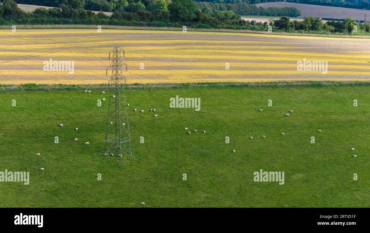 Paysage aérien de la campagne près du village de West Compton dans le West Sussex. Pylônes électriques traversant la terre. Banque D'Images