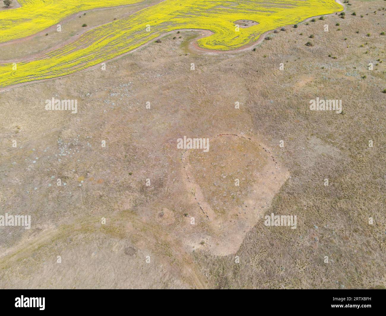 Arrangement de pierre aborigène de Wurdi Youang, Australie. Les positions astronomiquement significatives alignées sont anciennes que Stonehenge & Pyramids Banque D'Images