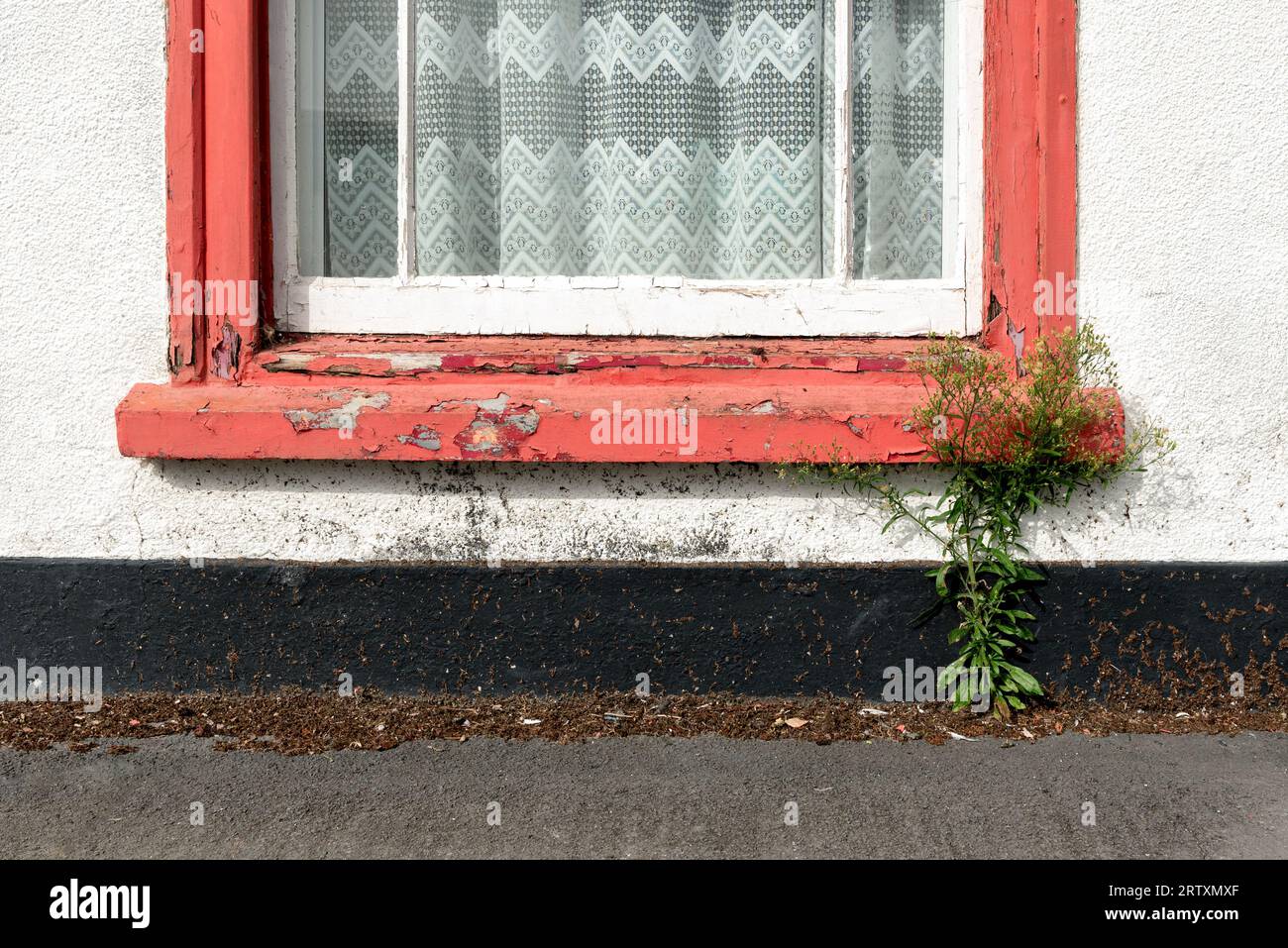 Vieilles fenêtres en bois nécessitant des réparations Banque D'Images
