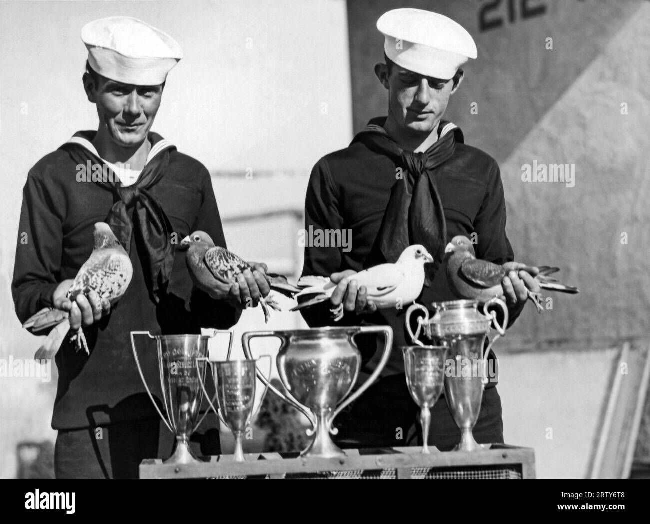 San Diego, Californie 1928 ces quatre pigeons voyageurs sont les ths champions de l'US Navy. Ils ont respectivement remporté, l-r, le 255 mile, le 300 mile, le 100 mile et la course San Francisco à San Diego, et le dernier à droite, le pigeon le plus rapide de la Navy, vainqueur de la course du 400 mile. Banque D'Images San Diego, Californie 1928 ces quatre pigeons voyageurs sont les ths champions de l'US Navy. Ils ont respectivement remporté, l-r, le 255 mile, le 300 mile, le 100 mile et la course San Francisco à San Diego, et le dernier à droite, le pigeon le plus rapide de la Navy, vainqueur de la course du 400 mile. Banque D'Images