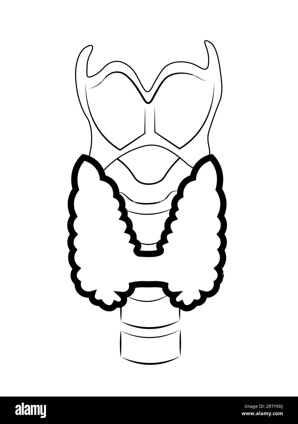 Illustration vectorielle de la glande thyroïde Illustration de Vecteur