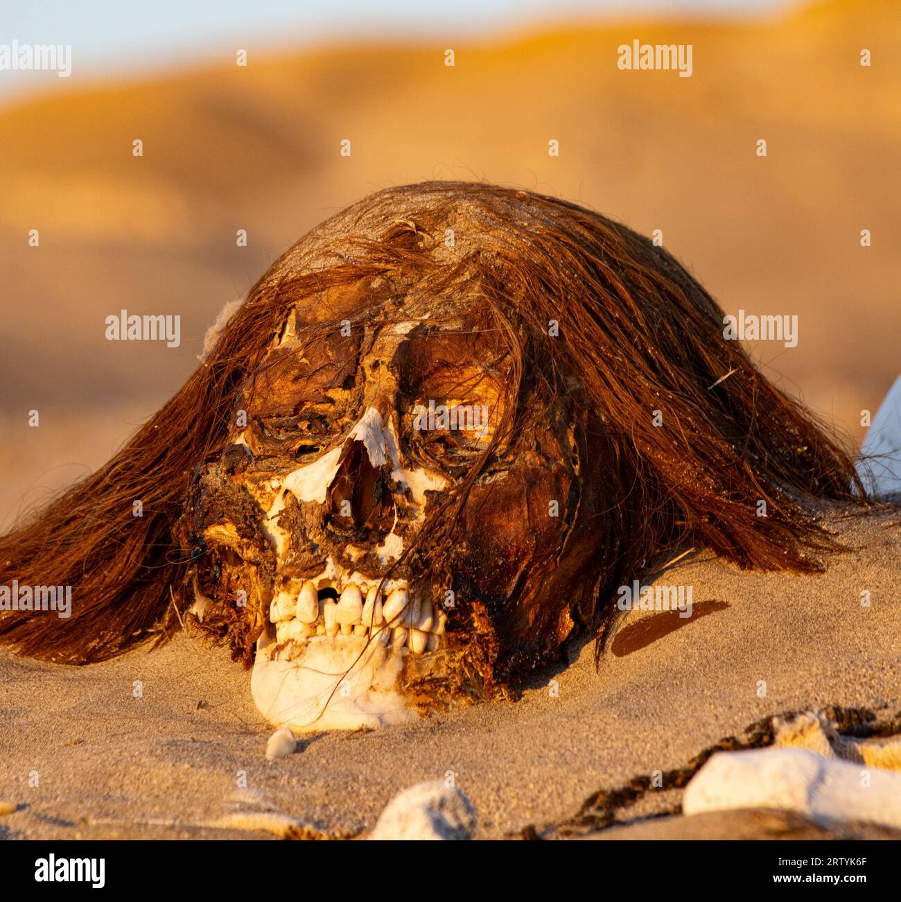 Momie Nazca sur un cimetière pillé Banque D'Images