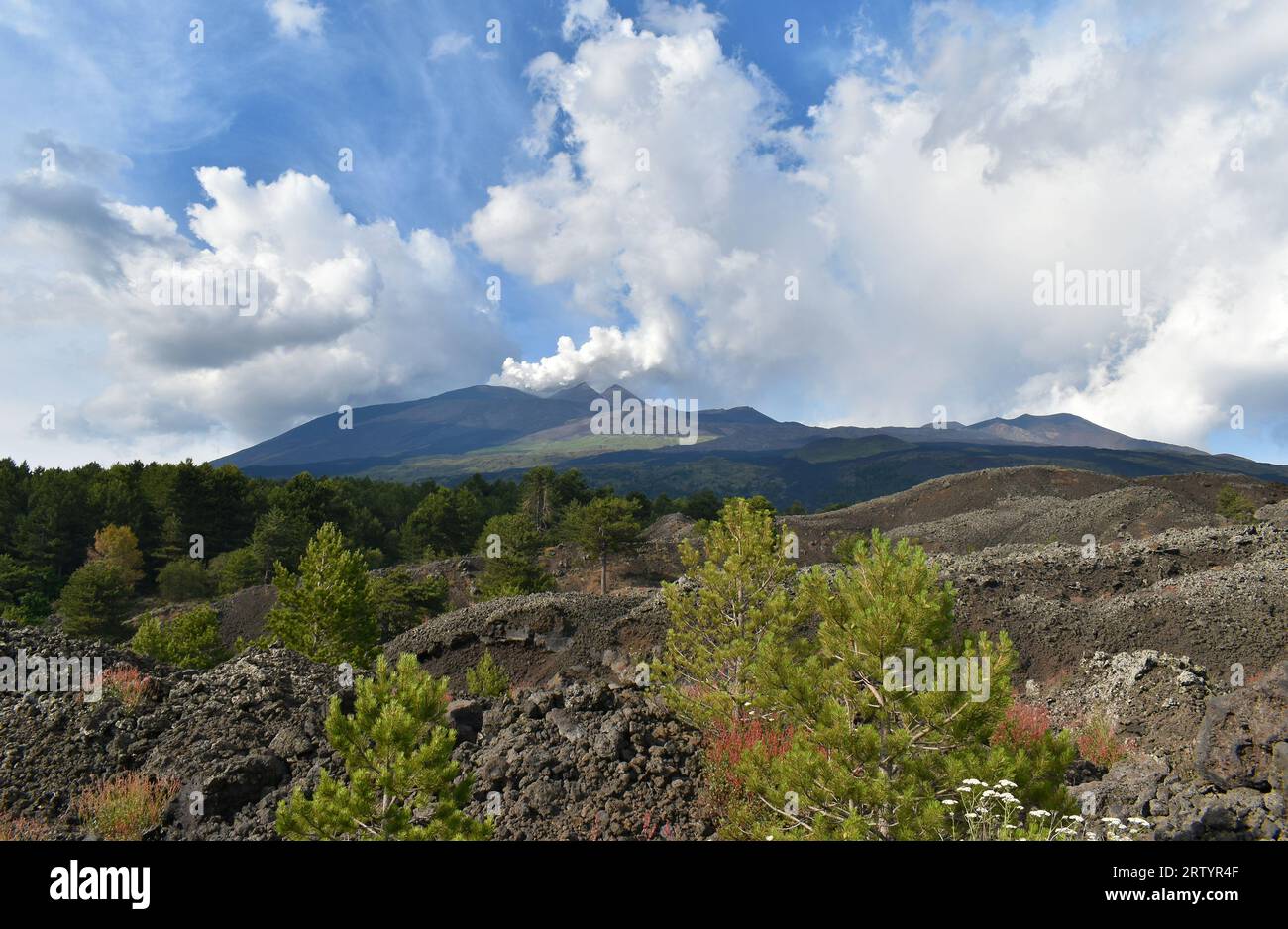 Volcan Etna, volcan fumant, lave avec végétation croissante, nature environnante, Sicile, Italie, Europe. Banque D'Images