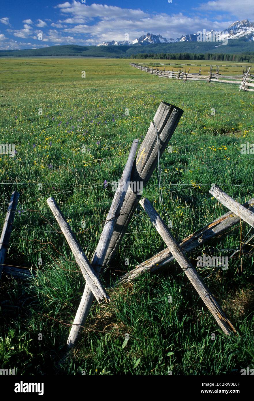 Fenceline du bassin Stanley avec les montagnes Sawtooth, aire de loisirs nationale Sawtooth, Idaho Banque D'Images