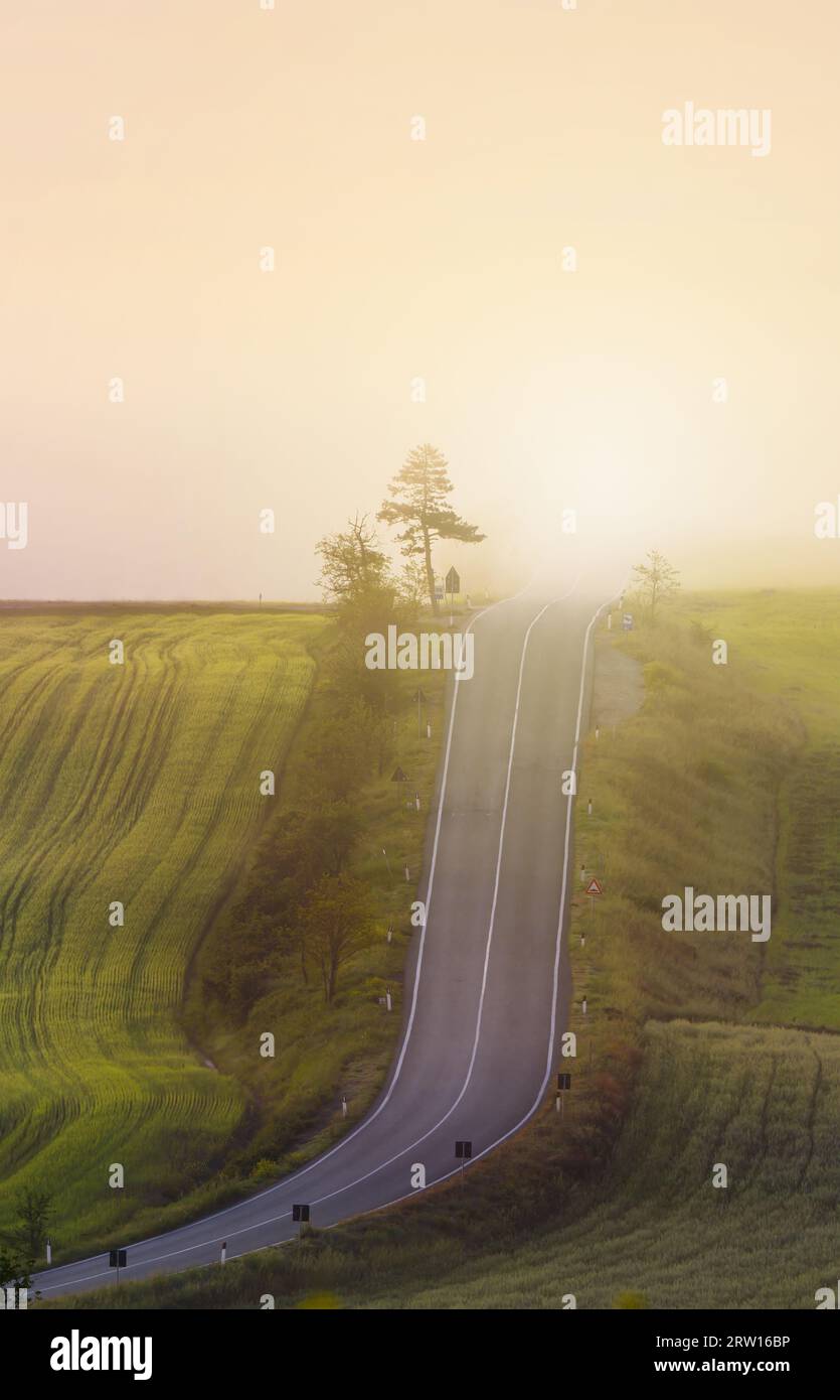 Route à travers la Toscane brumeuse Italie prairies sur une journée dramatique de la saison d'hiver Banque D'Images