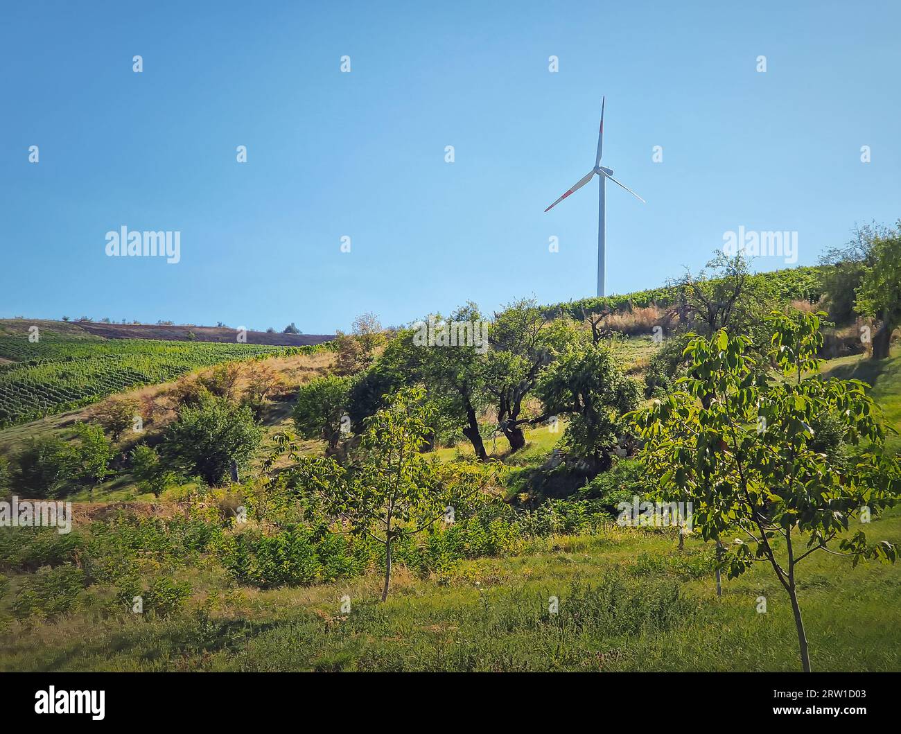 Éolienne au sommet d'une colline au-dessus de la vallée de campagne avec vignoble et arbres fruitiers. Conservation de l'énergie verte et concepts environnementaux Banque D'Images