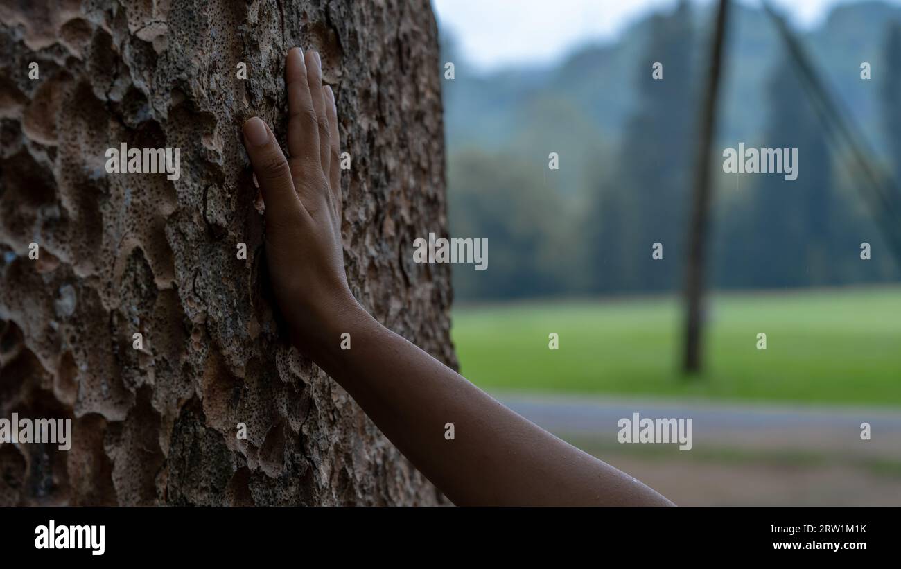 Mains d'une jeune femme cherchant un arbre dans un parc Banque D'Images