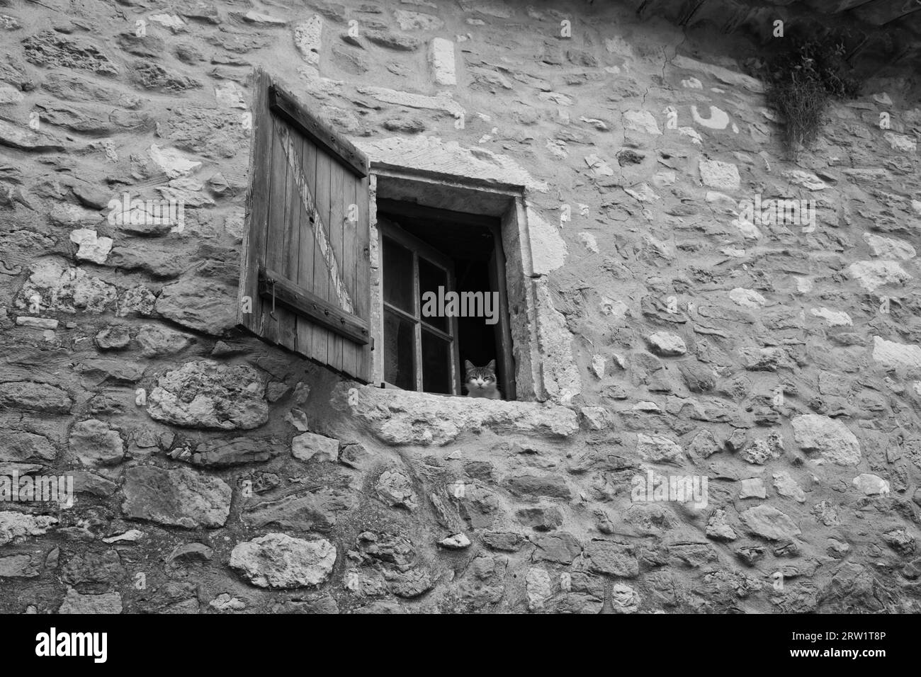 un chat regarde par la fenêtre d'une vieille maison en pierre Banque D'Images