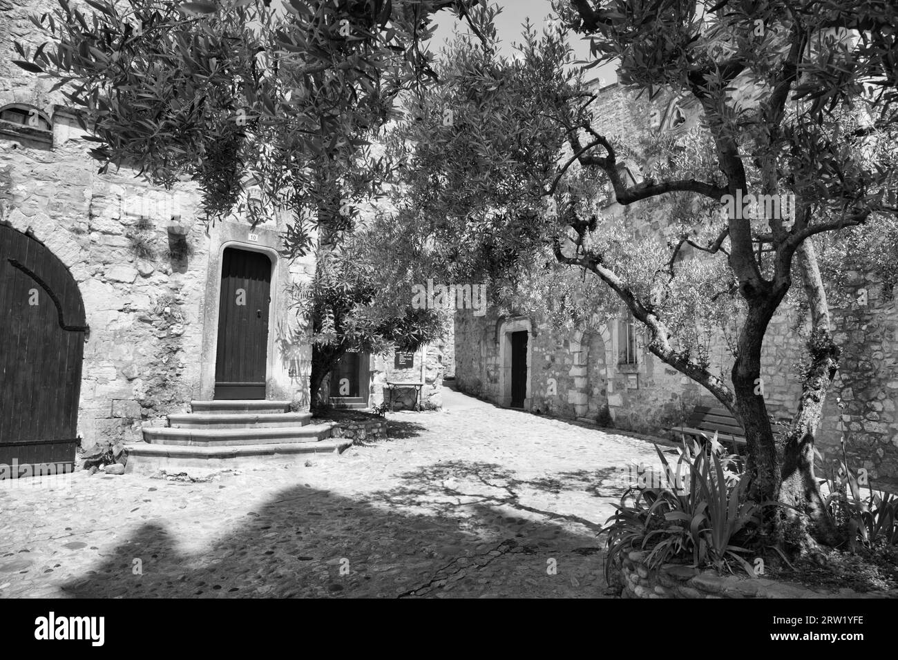 Une allée avec un arbre. Photographié dans la belle ville française d'Aiguèze. Banque D'Images