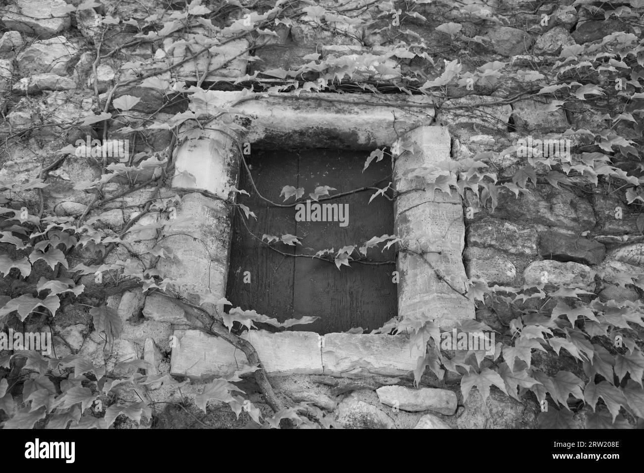 une fenêtre envahie d'une maison en pierre. photographié à aiguèze. Banque D'Images