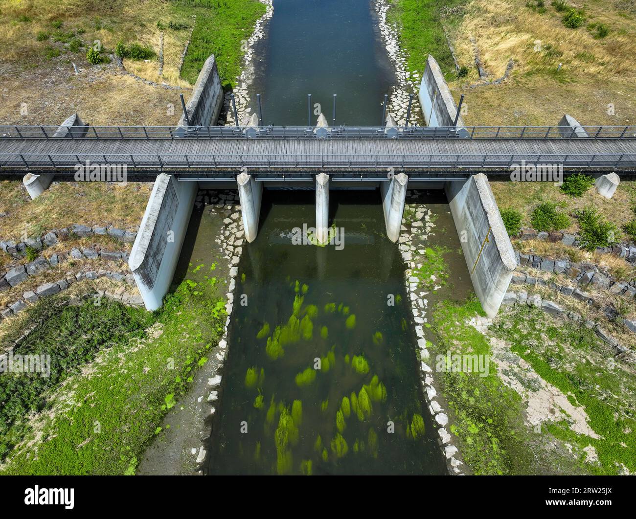 06.07.2023, Allemagne, Rhénanie du Nord-Westphalie, Dortmund / Castrop-Rauxel - renaturation de l'Emscher, bassin de rétention des inondations HRB Mengede. Un nouveau floodpl Banque D'Images