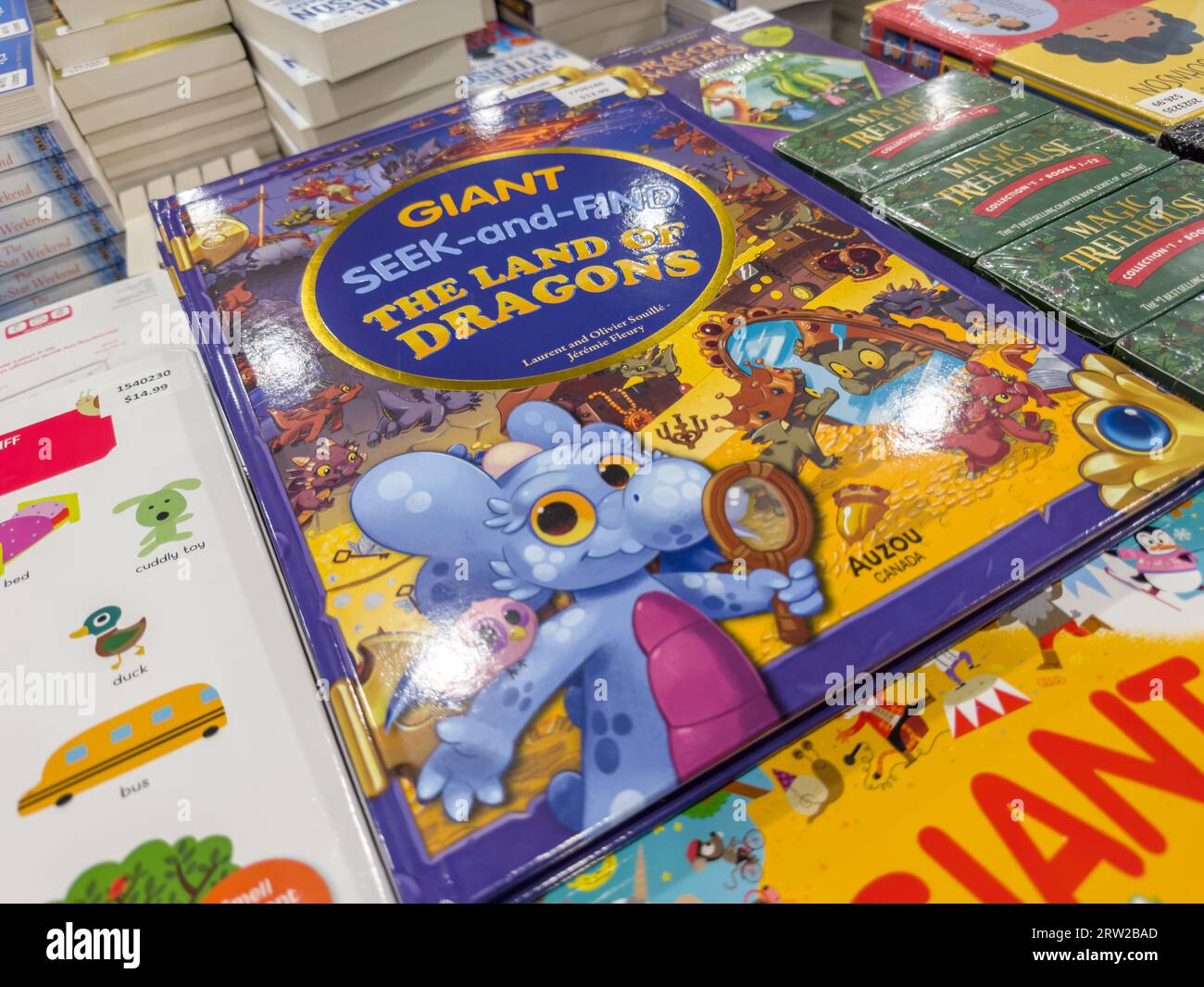 LIVRE GÉANT CHERCHER ET TROUVER. Livre de maternelle pour enfants de la maternelle. Rechercher et trouver un livre. Banque D'Images