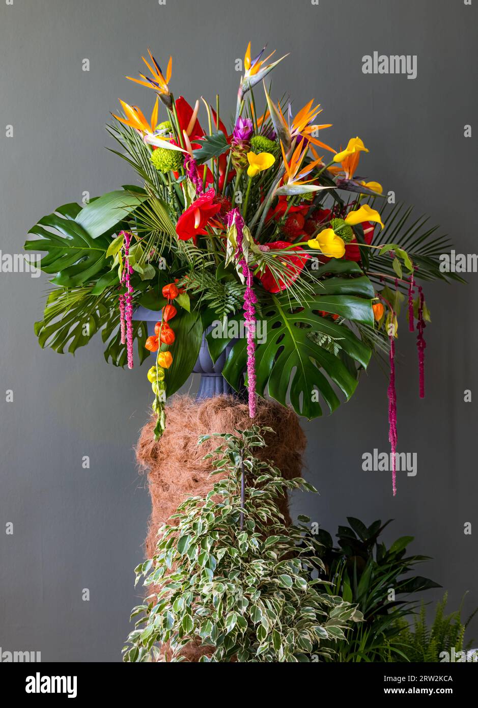 Décoration florale colorée ou arrangement de fleurs exotiques Banque D'Images
