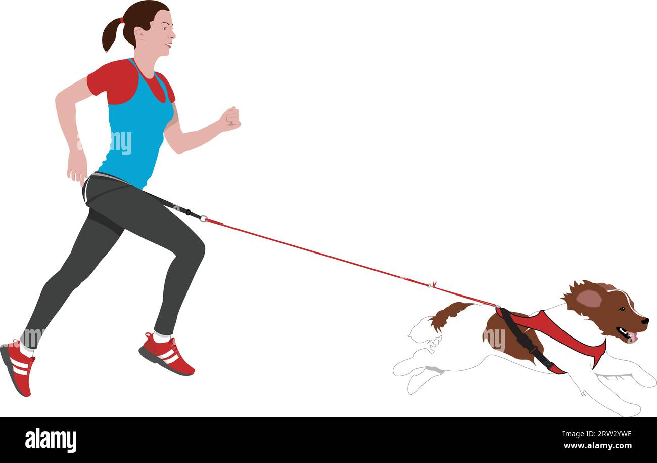 Canicross - Jeune femme courant avec un Springer Spaniel sur un fond blanc Illustration de Vecteur