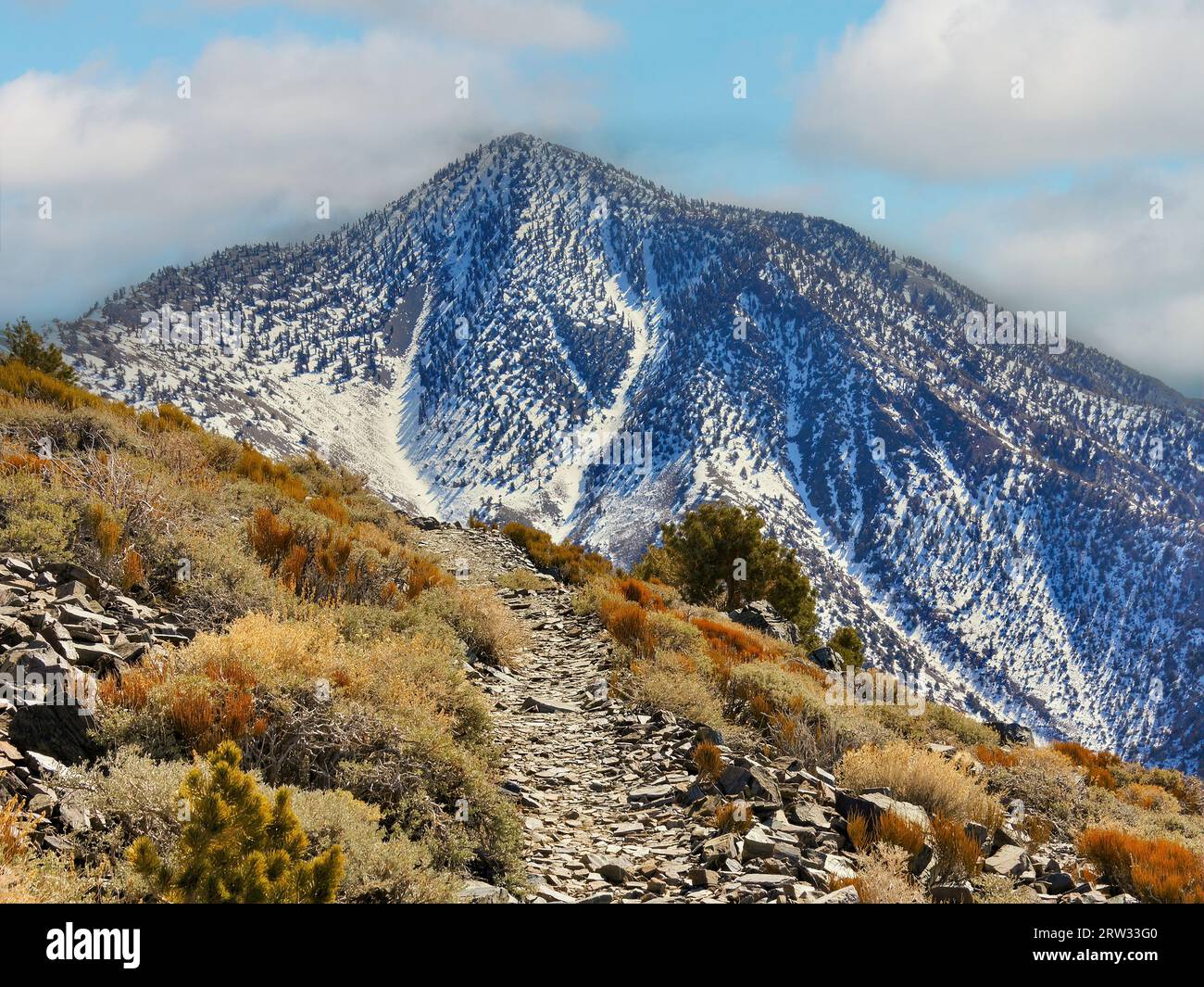 Hiking Telescope Peak, le point culminant du parc national de la Vallée de la mort, Californie, États-Unis Banque D'Images