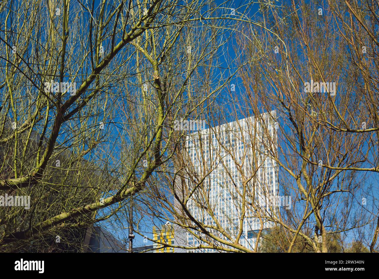 Urban Oasis : Hôtels de Las Vegas entourés d'une végétation luxuriante Banque D'Images