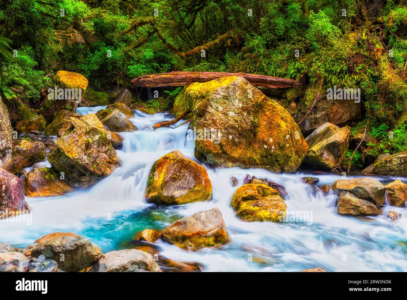 Le lac Marian tombe sur une piste de marche dans le Fiordland en Nouvelle-Zélande. Banque D'Images