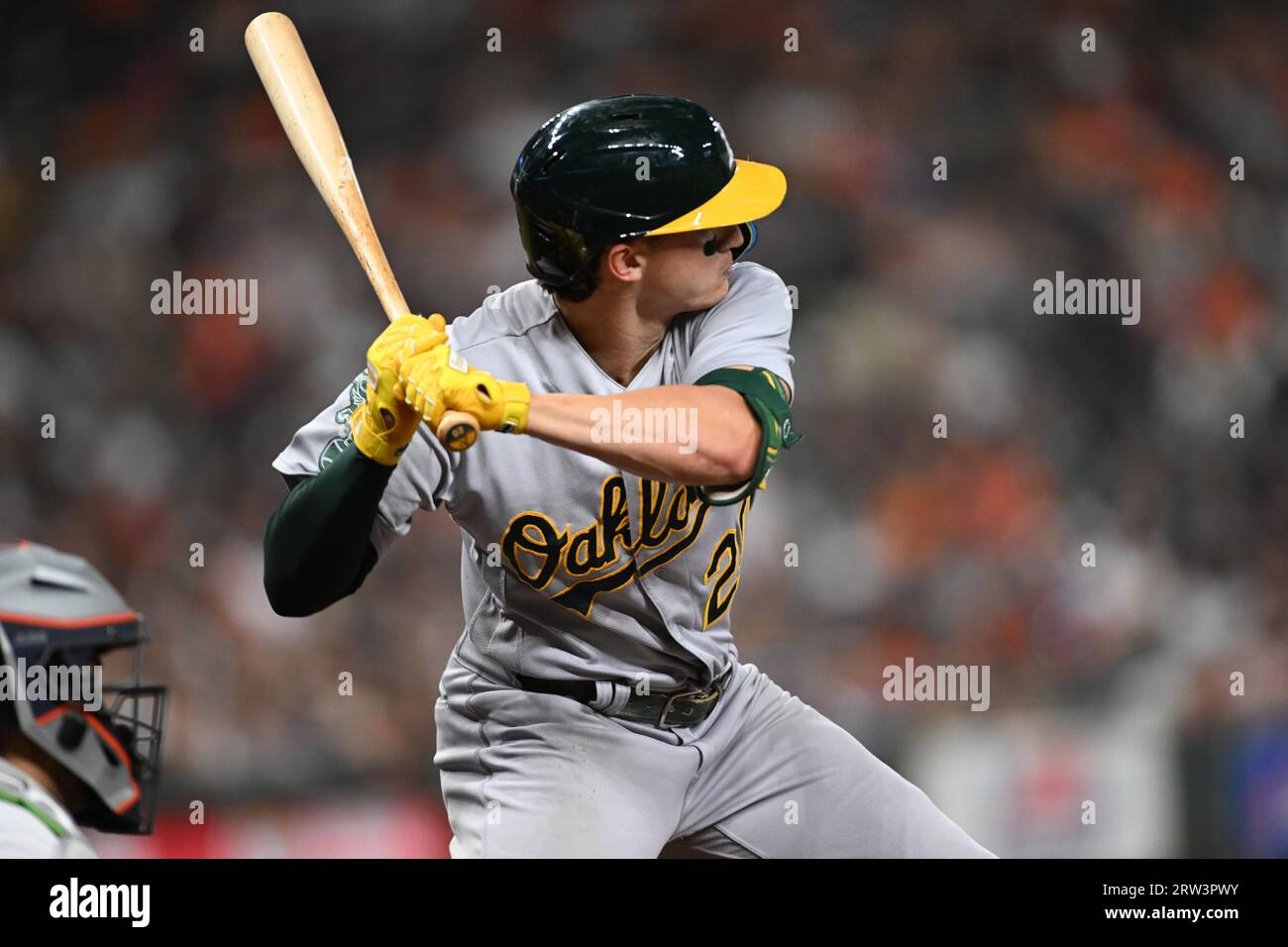 Le deuxième joueur d'Oakland Athletics, Zack Gelof (20), a battu en tête de la quatrième manche du match de la MLB entre les Athletics d'Oakland et les Houston Banque D'Images