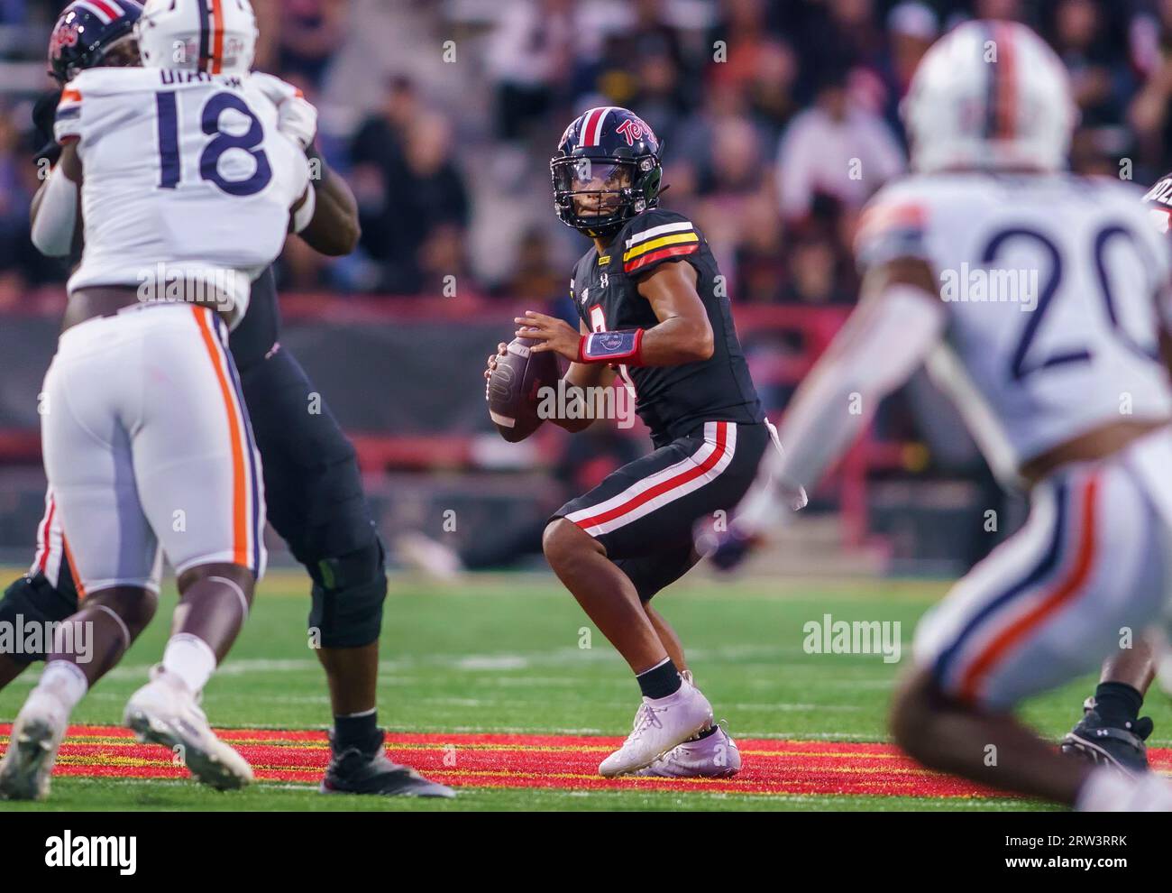 COLLEGE PARK, MARYLAND, USA - 15 SEPTEMBRE : le quarterback des Terrapins du Maryland Taulia Tagovailoa (3) prêt à lancer lors d'un match de football universitaire entre les Terrapins du Maryland et les cavaliers de Virginie le 15 septembre 2023, au SECU Stadium de College Park, Maryland. (Photo de Tony Quinn-Alamy Live News) Banque D'Images