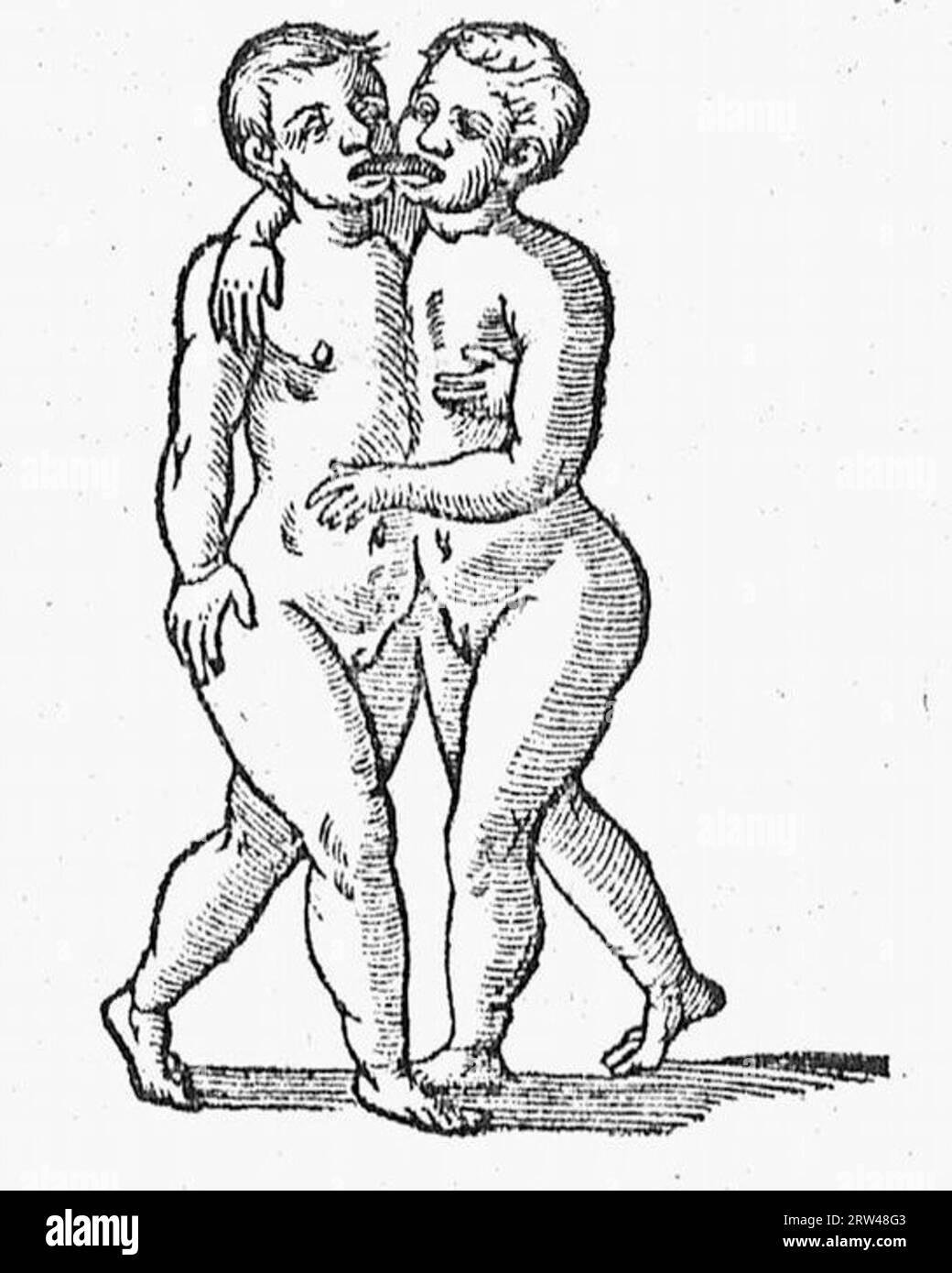 De naturae diuinis charactermis seu Raris et admirandis spectaculis, causis, indiciis, proprietatibus rerum in partibus singulis universi, libri II Banque D'Images