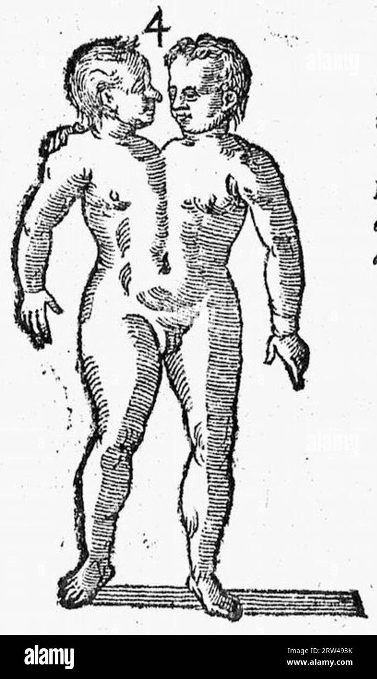 De naturae diuinis charactermis seu Raris et admirandis spectaculis, causis, indiciis, proprietatibus rerum in partibus singulis universi, libri II Banque D'Images