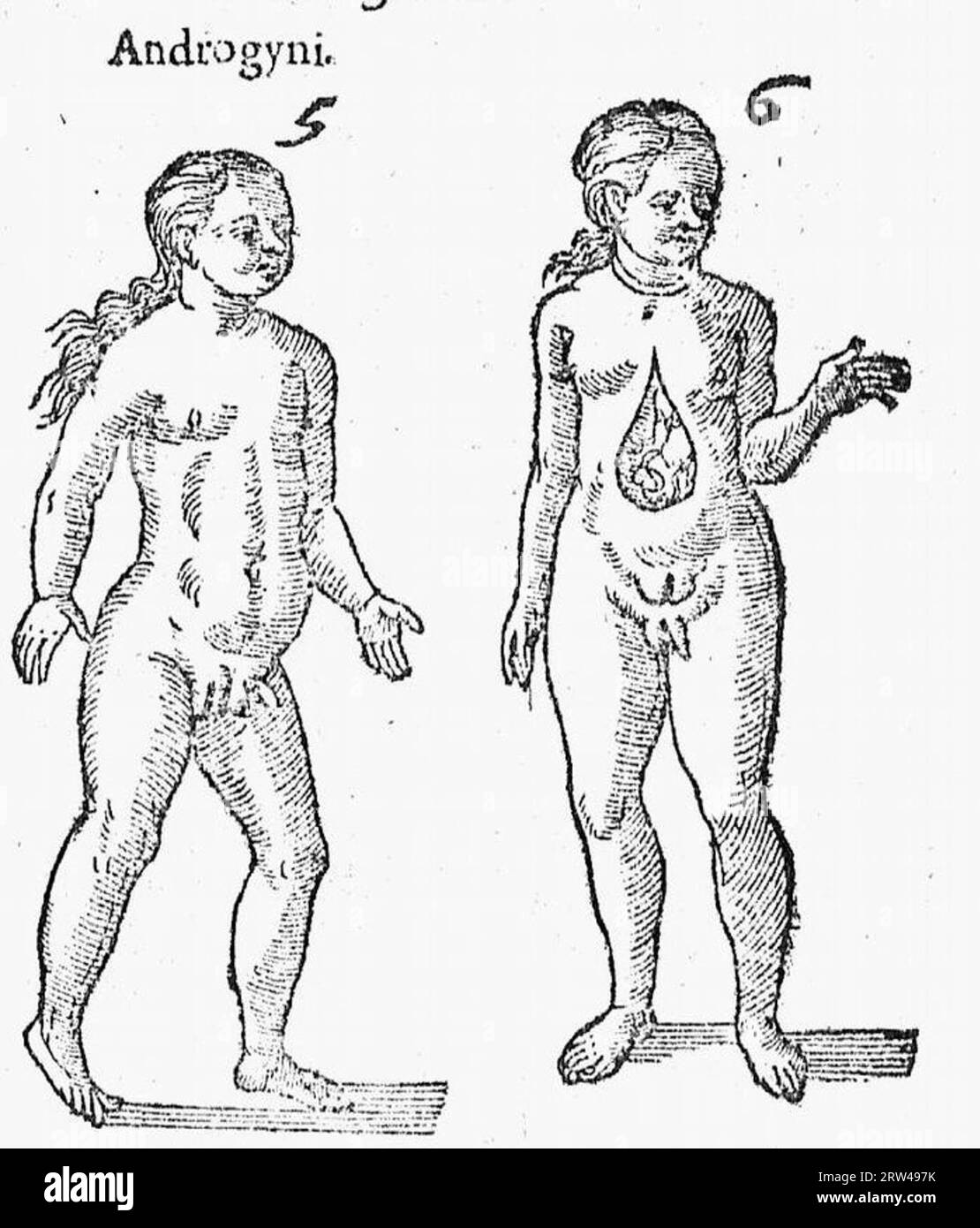 De naturae diuinis charactermis seu Raris et admirandis spectaculis, causis, indiciis, proprietatibus rerum in partibus singulis universi, libri II Banque D'Images