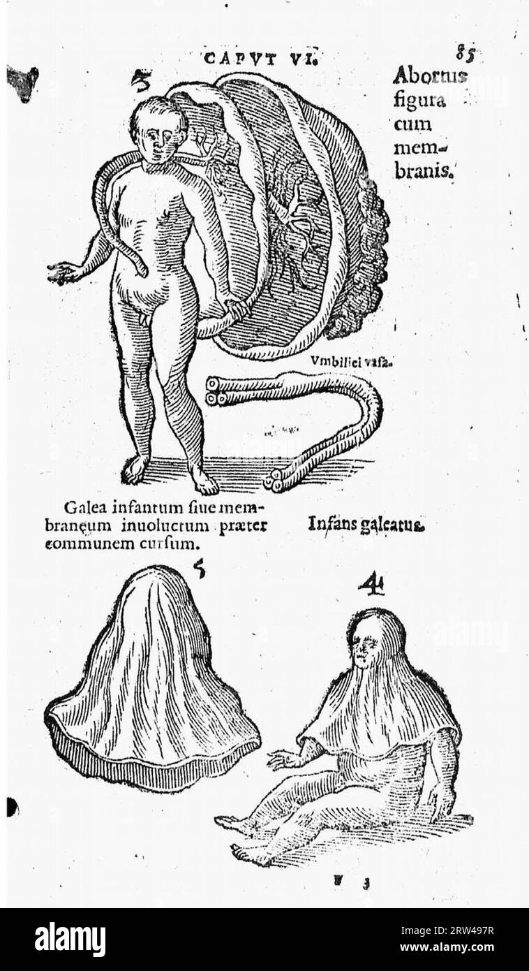 De naturae diuinis charactermis seu Raris et admirandis spectaculis, causis, indiciis, proprietatibus rerum in partibus singulis universi, libri II Banque D'Images