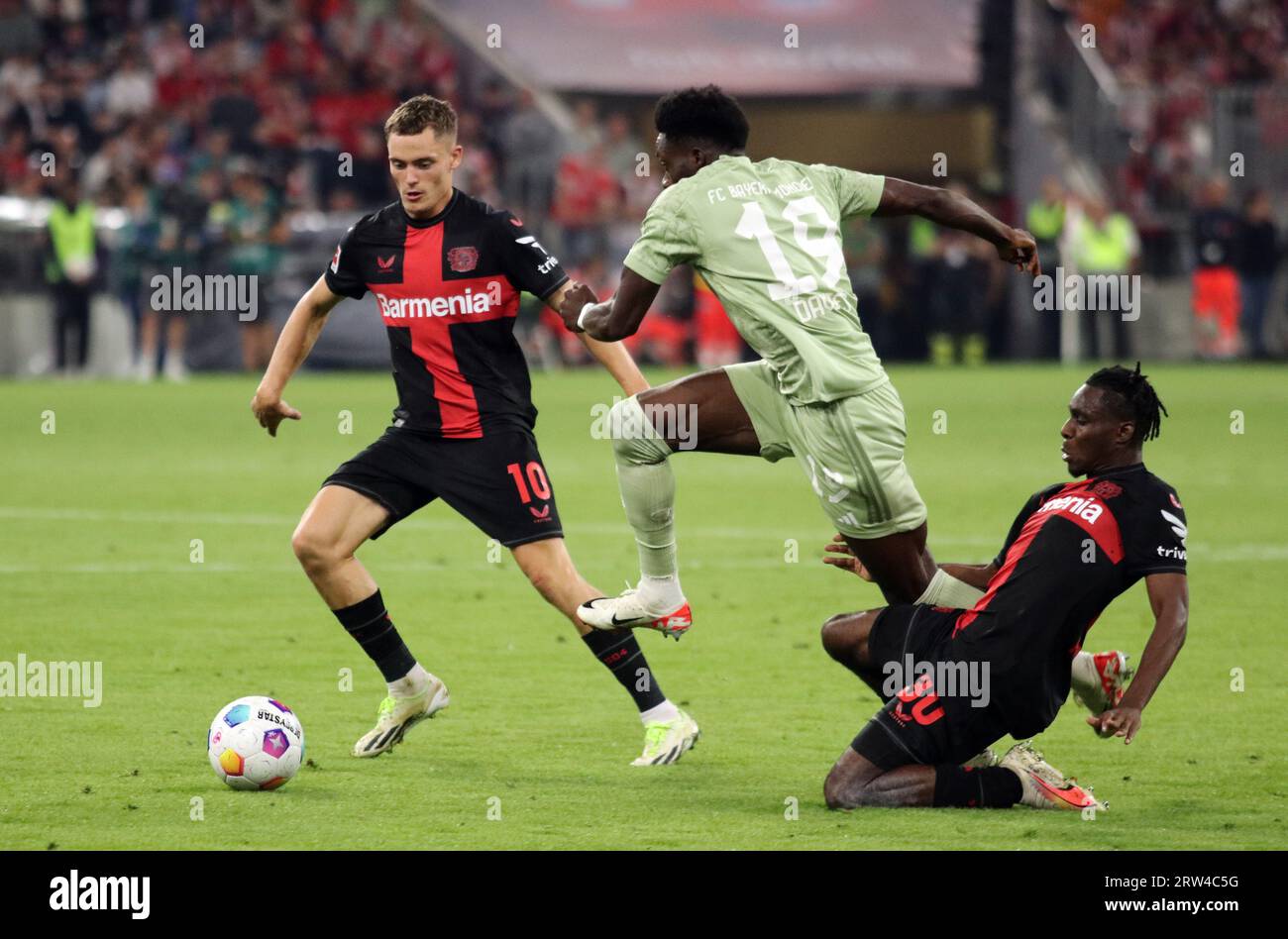 MUNICH, Allemagne. , . 19 Alphonso DAVIS vs 30 Jeremie FRIMPONG et 10 Florian WIRTZ lors du match de Bundesliga football entre le FC Bayern Muenchen et LE BAYER 04 LEVERKUSEN à l'Allianz Arena de Munich en 15. Septembre 2023, Allemagne. DFL, Fussball, 2:2, (photo et copyright @ ATP images/Arthur THILL (THILL Arthur/ATP/SPP) crédit : SPP Sport Press photo. /Alamy Live News Banque D'Images