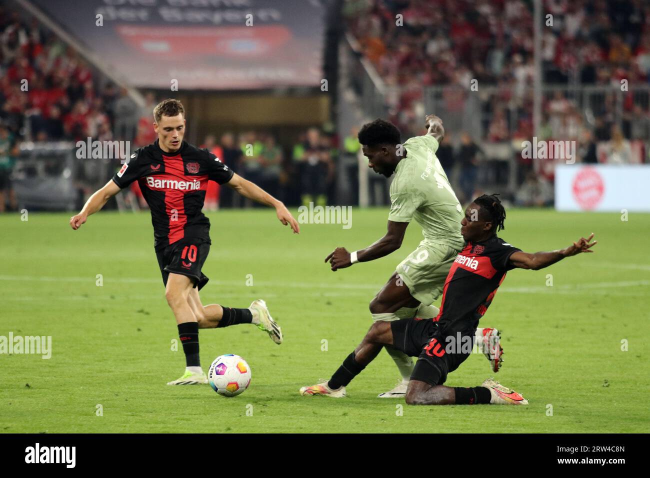 MUNICH, Allemagne. , . 19 Alphonso DAVIS vs 30 Jeremie FRIMPONG et 10 Florian WIRTZ lors du match de Bundesliga football entre le FC Bayern Muenchen et LE BAYER 04 LEVERKUSEN à l'Allianz Arena de Munich en 15. Septembre 2023, Allemagne. DFL, Fussball, 2:2, (photo et copyright @ ATP images/Arthur THILL (THILL Arthur/ATP/SPP) crédit : SPP Sport Press photo. /Alamy Live News Banque D'Images