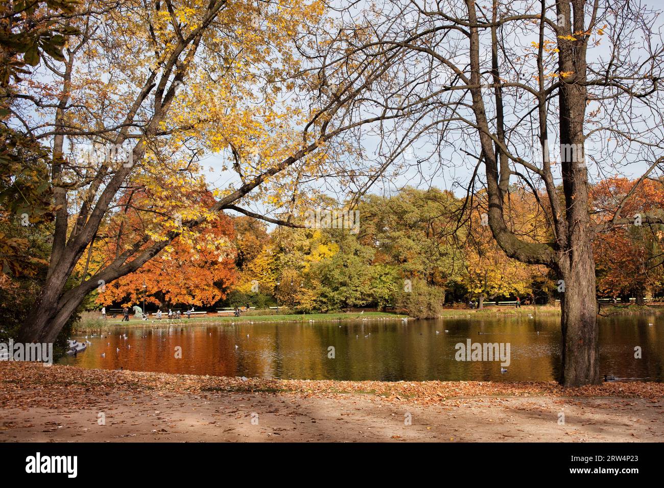 Arbres d'automne au bord de l'étang dans le parc Ujazdowski, centre-ville de Varsovie, Pologne Banque D'Images